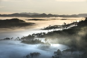 挽回感情找穆木有用吗